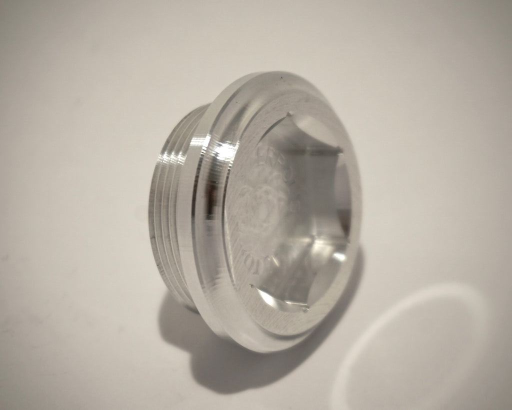 020 Timing Plug Cover